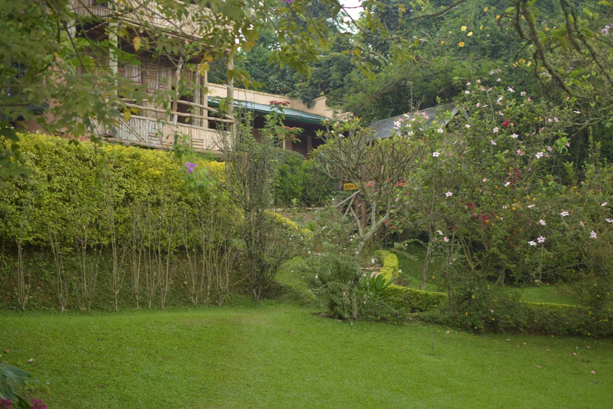 Views of the hotel and I had to drop my famous Jumpstagram by the lake