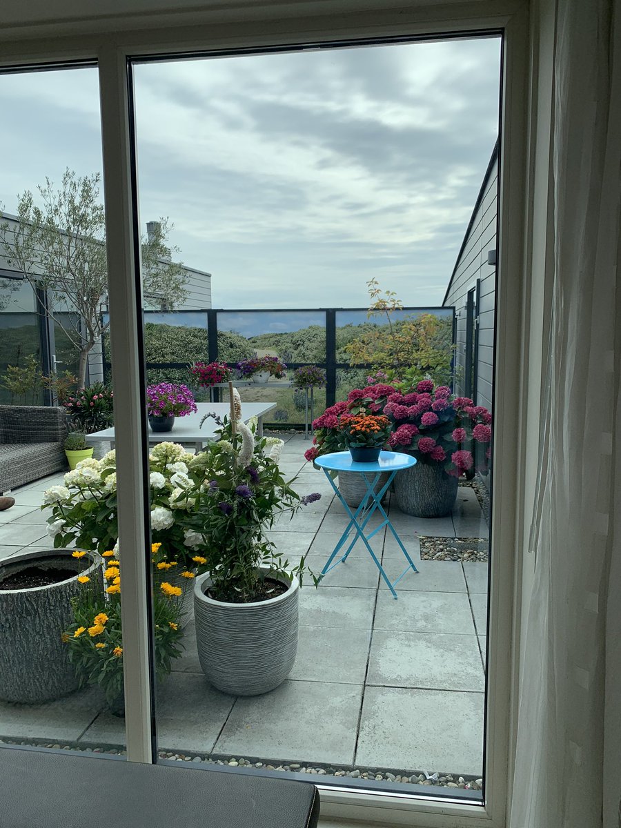 ClaidMail's tweet photo. Bij een #appartement in @Zaandam de ramen voorzien van onze #nanofolie #warmtewerend #isolerend #volledigtransparant https://t.co/SIN8nRxdPo