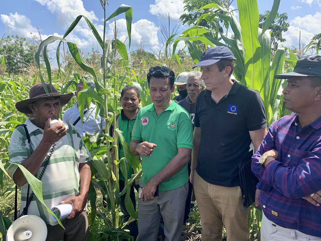 Liudageng's tweet photo. Thank you Ambassdor @Andrew_JacobsEU for joining us today the field learning event on Climate-Smart Conservation Agriculture in Bentano, Manufahi organized by @FAO and Ministry of Agriculture and Fisheries. #Timorleste #foodsecurity #foodsystems https://t.co/bIiqWTPt22