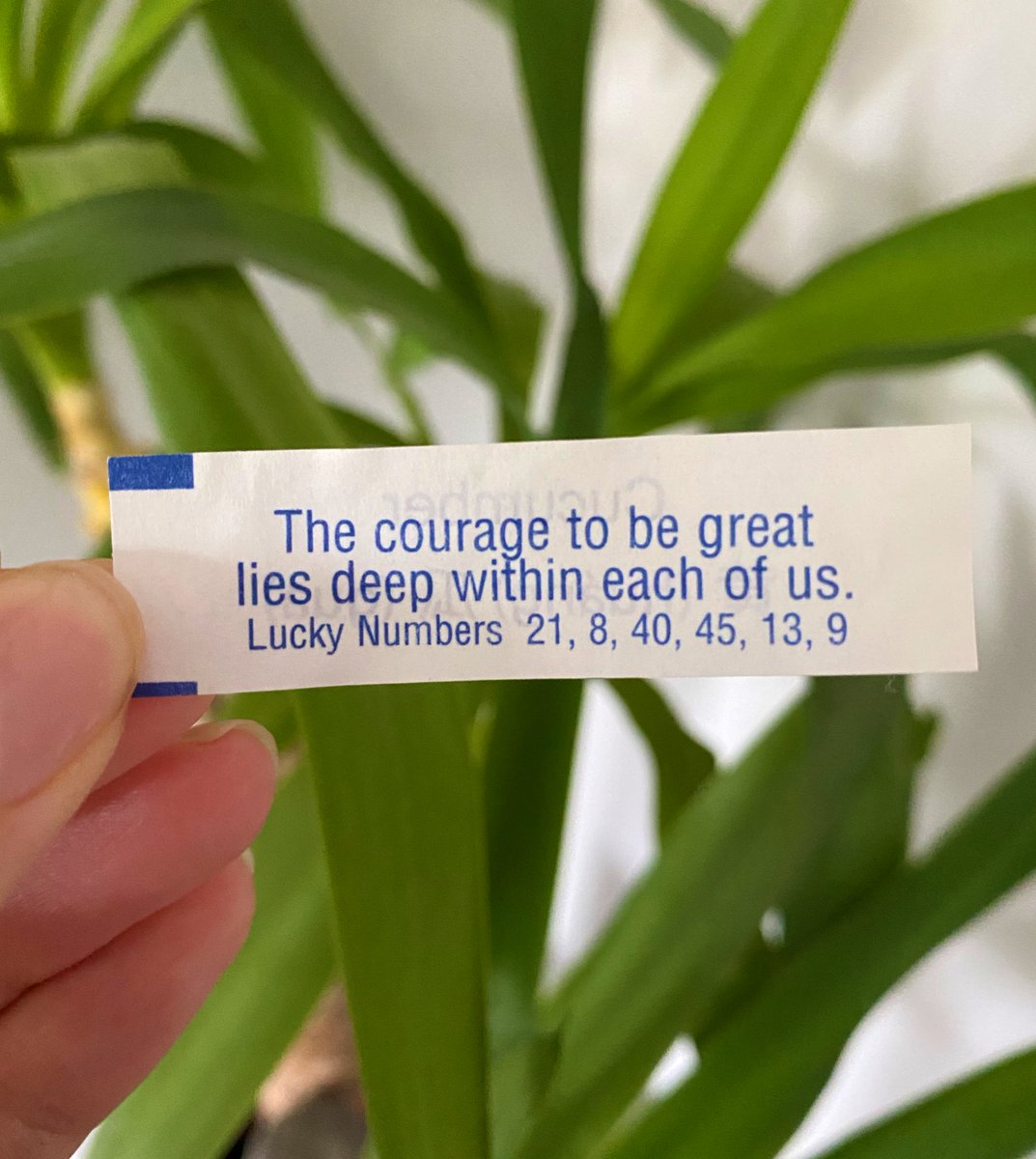 Zerrin_W's tweet photo. Today’s #MondayMotivation comes from the fortune cookie in last night’s takeaway 🤣 https://t.co/OFVKOJ2p2y