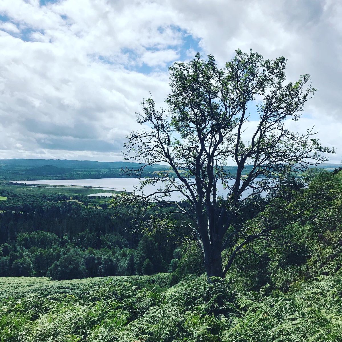bellter73's tweet image. More stunning views from Conic Hill, over Loch Lomond, tough climb but worth it for these stunning views @VisitScotland #ourbonniescotland