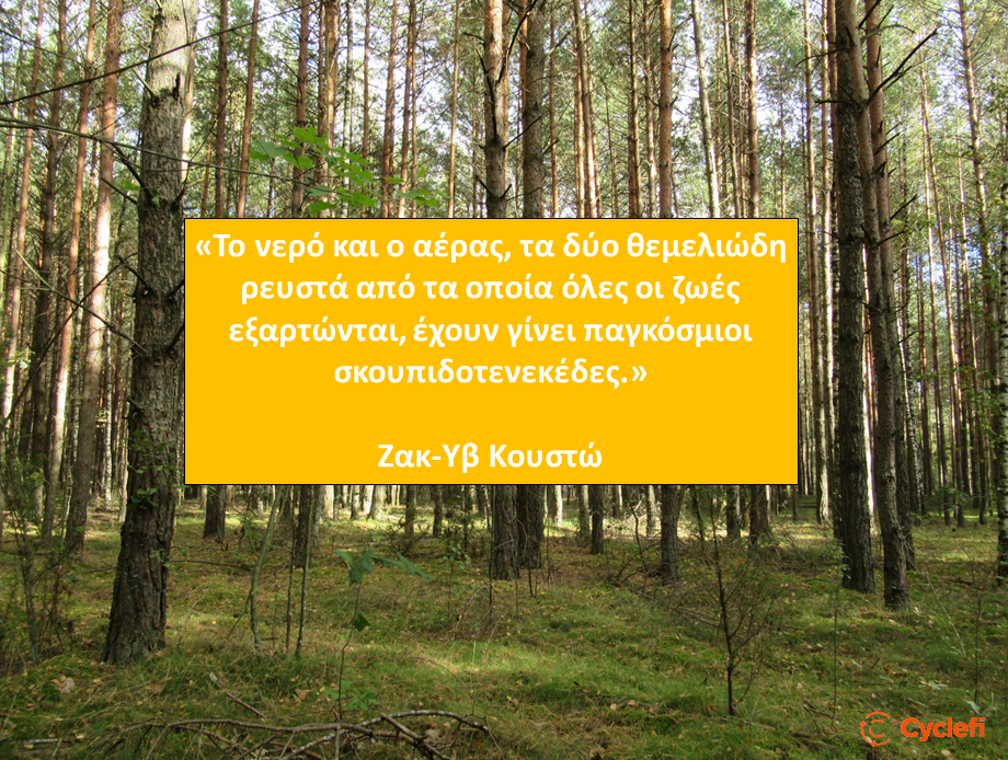 cyclefistartup's tweet photo. Η ρύπανση του περιβάλλοντος σκοτώνει περισσότερα από 1 εκατομμύριο θαλασσοπούλια και 100 εκατομμύρια θηλαστικά κάθε χρόνο. Αλλάζουμε συνήθειες ♻️🌳, συμβάλλουμε στην προστασία του πλανήτη. 🌎

#savetheplanet #pollution #oceans #forest  #ecofriendly #savetheearth https://t.co/bO6gixzQid