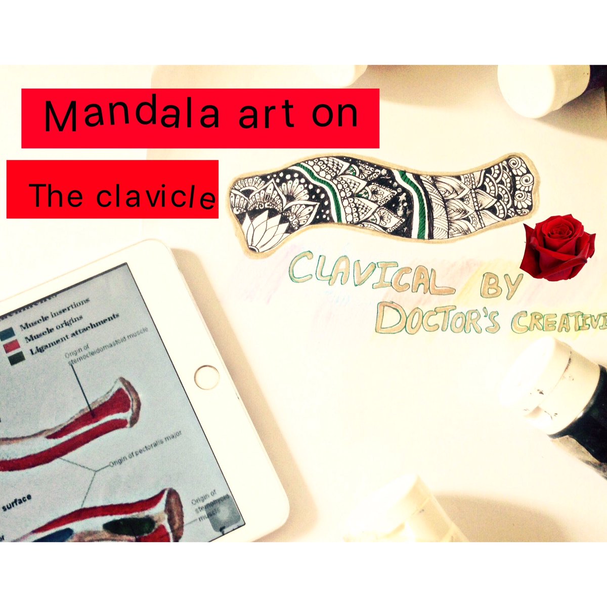 doctorscreativi's tweet photo. Mandala Art on clavicle l BONE l ART video l Doctor's creativity l CLAVI... https://t.co/QFt1FwJHlK via @YouTube
#Doctor #Quarantine #doctors #Anatomy #medico https://t.co/K5vD7GgSIA