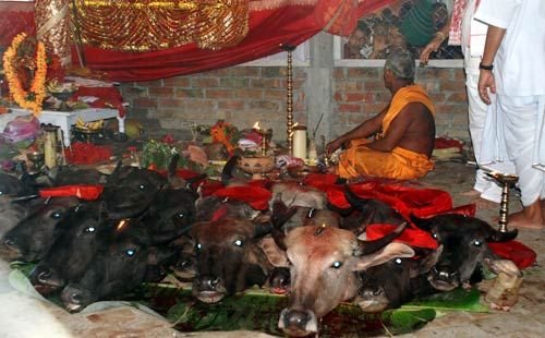 Aabis tweets tweet media