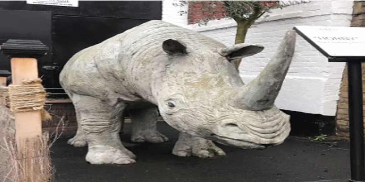 themetraders tweet media