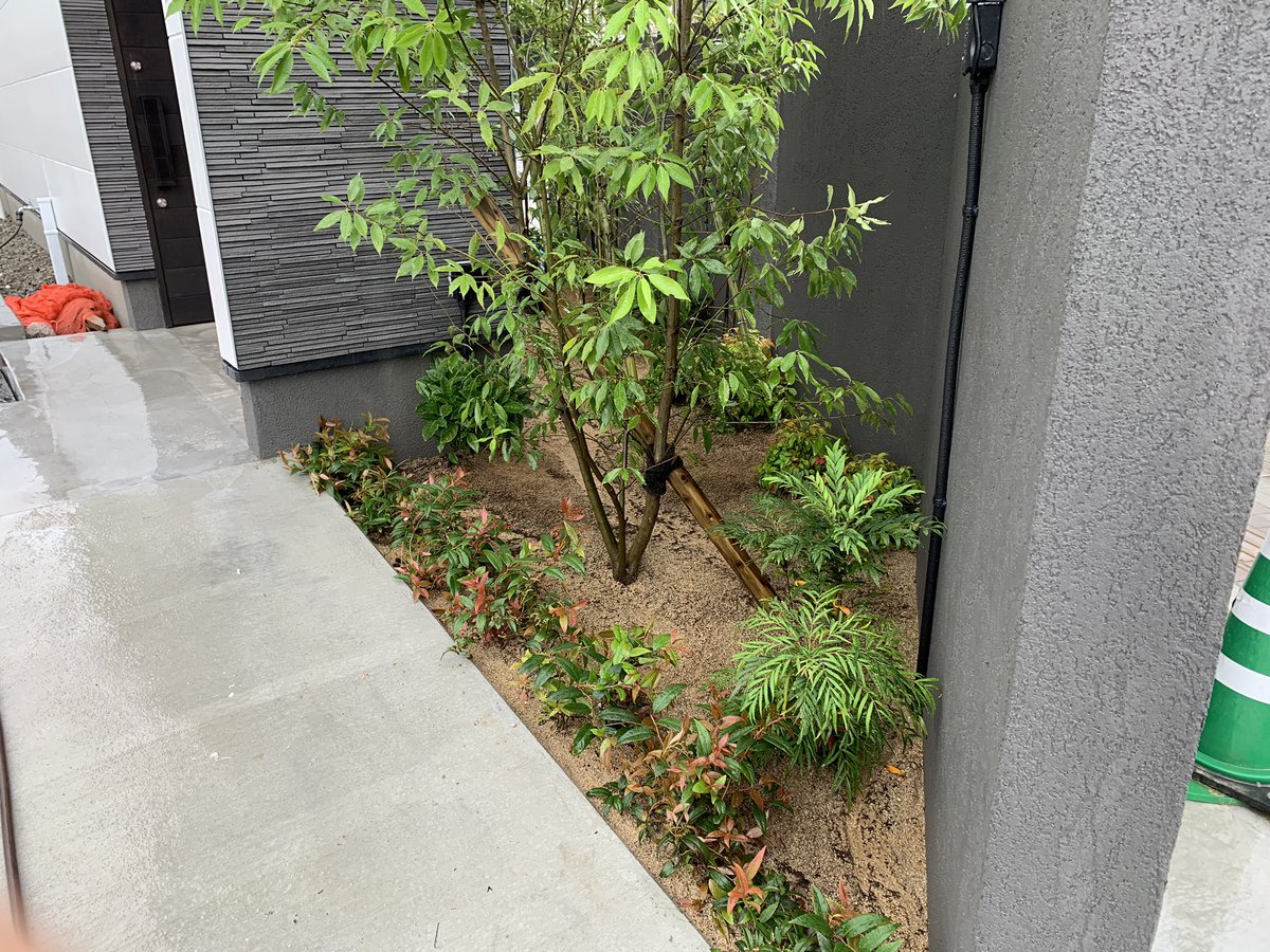 KSfc0525's tweet photo. 麺屋我ガ 
くそ雨の中植栽頑張ったんで
食べに来るついでにみてやって下さい… https://t.co/y4gNsH5YF0
