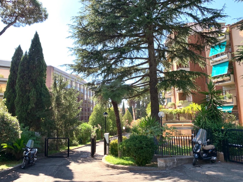 gruppomrcase's tweet image. 📍 #Balduina / Via Massimi
🏡 Appartamento in #affitto
▪️ 70 mq, 5° piano, recentemente ristrutturato
▪️ € 1200,00 al mese

GALLERY E DETTAGLI 👉 bit.ly/3f0IYfD

Gruppo #MrCase
Agenzia Corso Francia, 130
Tel 06 3340000
mrcase.it