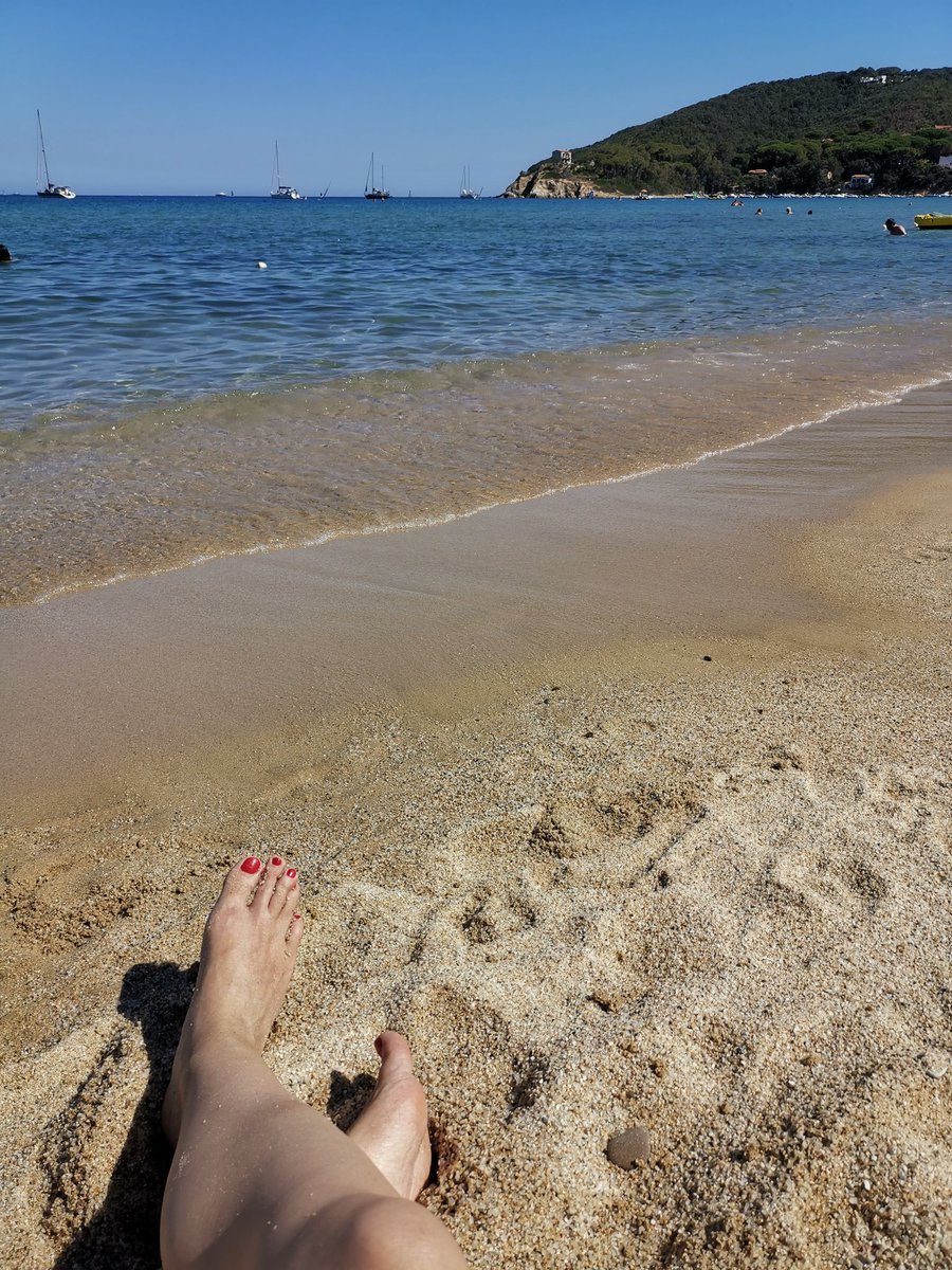 Monia_Merli's tweet photo. Come si fa a non sentirsi piccoli di fronte all'immensità della natura?!
@isoladelbaapp #procchio #elba 🏖️ https://t.co/tbaBRlPOGp