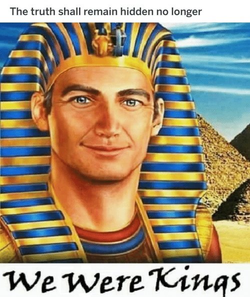 Tfw the US census said Egyptians are white