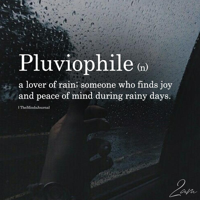 TheMindsJournal's tweet photo. Pluviophile
#joy #peace #pluviophile #rain #themindsjournal #mindtalk #letthemindtalkbegin https://t.co/afQ5GUMK5N