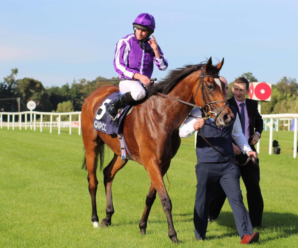 Coolmore_Stud's tweet photo. Coolmore Group's unofficial website!Spread this account! https://t.co/XjGAMdKqyl