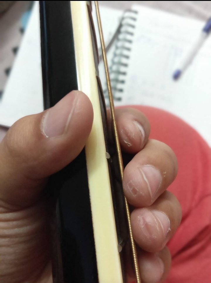 zosterela's tweet photo. Struggles in playing guitar r worth👇 https://t.co/CJllcaTujp