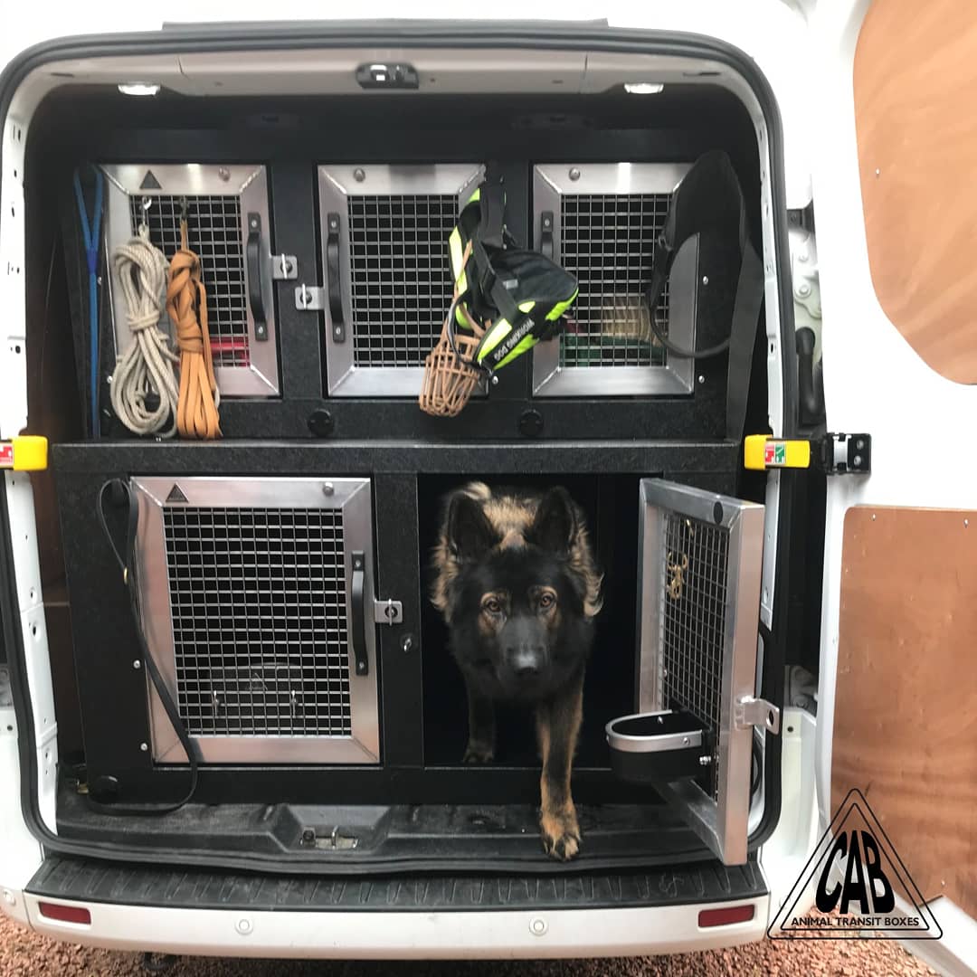 CABboxes's tweet photo. Max the G.S.D enjoying his new CAB 3 plus 2 system in a Ford Transit Custom van complete with rear escape hatches &amp; door drinkers £2,110.00 inclusive of vat &amp; fitting. 01653 697096 info@cabtransitboxes.co.uk  #cabtransitboxes #cabanimaltransitboxes #cab #cabboxes #dogboxes #k9 https://t.co/EsBCKXUtH3