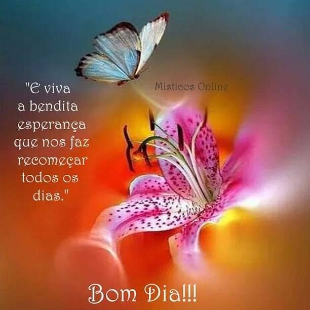 Místicos Online - Bom dia!!! Feliz Semana!🌸🌸🌸