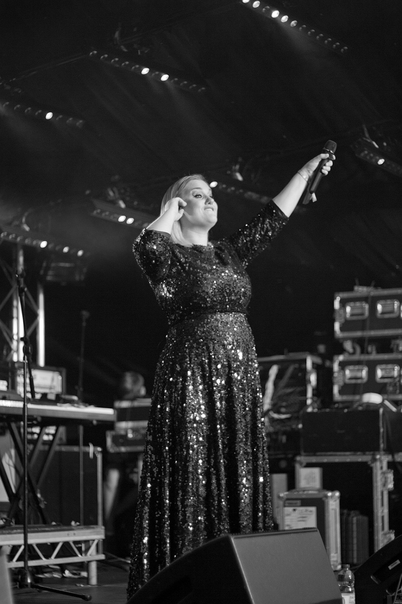 Beer Bop A Lula Festival tweet media