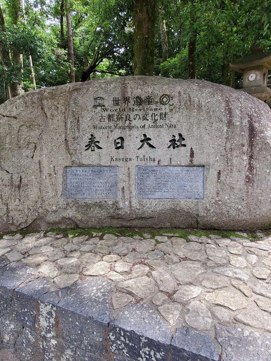 thanks_noka's tweet photo. 春日大社は朱色の建物が素晴らしいですよね。
たくさんの灯籠も見処感がハンパない！！
鹿神様とも触れ合えて充実した１日だったなぁ⛩️
#春日大社
#奈良公園 https://t.co/4ny2S6JVQl