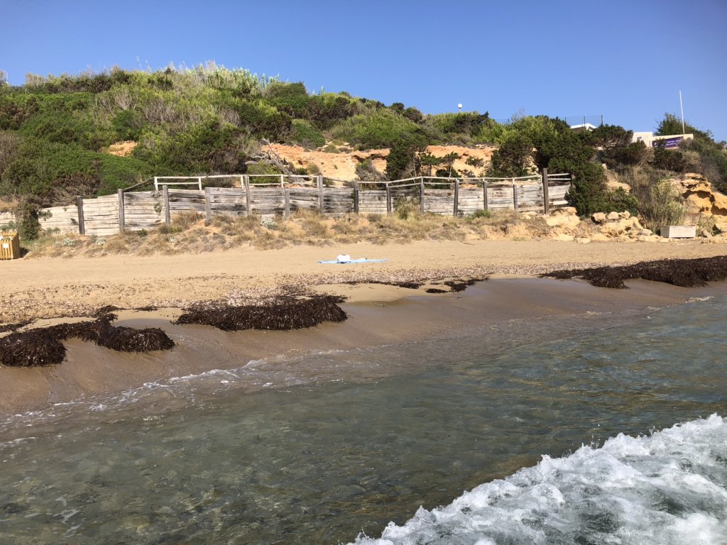 Bensbeeraday's tweet photo. Soft sand, clear water and a beach to myself this morning at Playa de Es Figueral #ibiza #ibiza2020 #eivissa https://t.co/xPhUVge5Lh