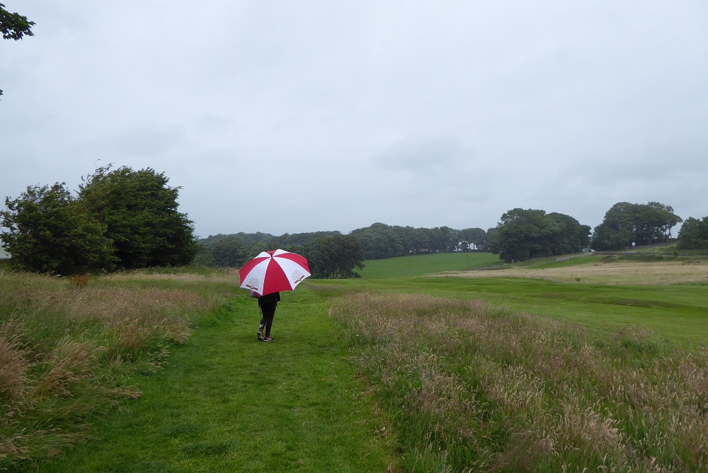 DB_Brolly's tweet photo. Went for a wet walk on #FairfieldCommon. Good to stretch the ribs and loosen up the runner. Nice to explore another green space of the town but a bit windy for an umbrella to stay too long. #BlownAway
#BrollyonLockdown #Buxton #GreenSpaces #Fairfield https://t.co/JxepvEUFyt