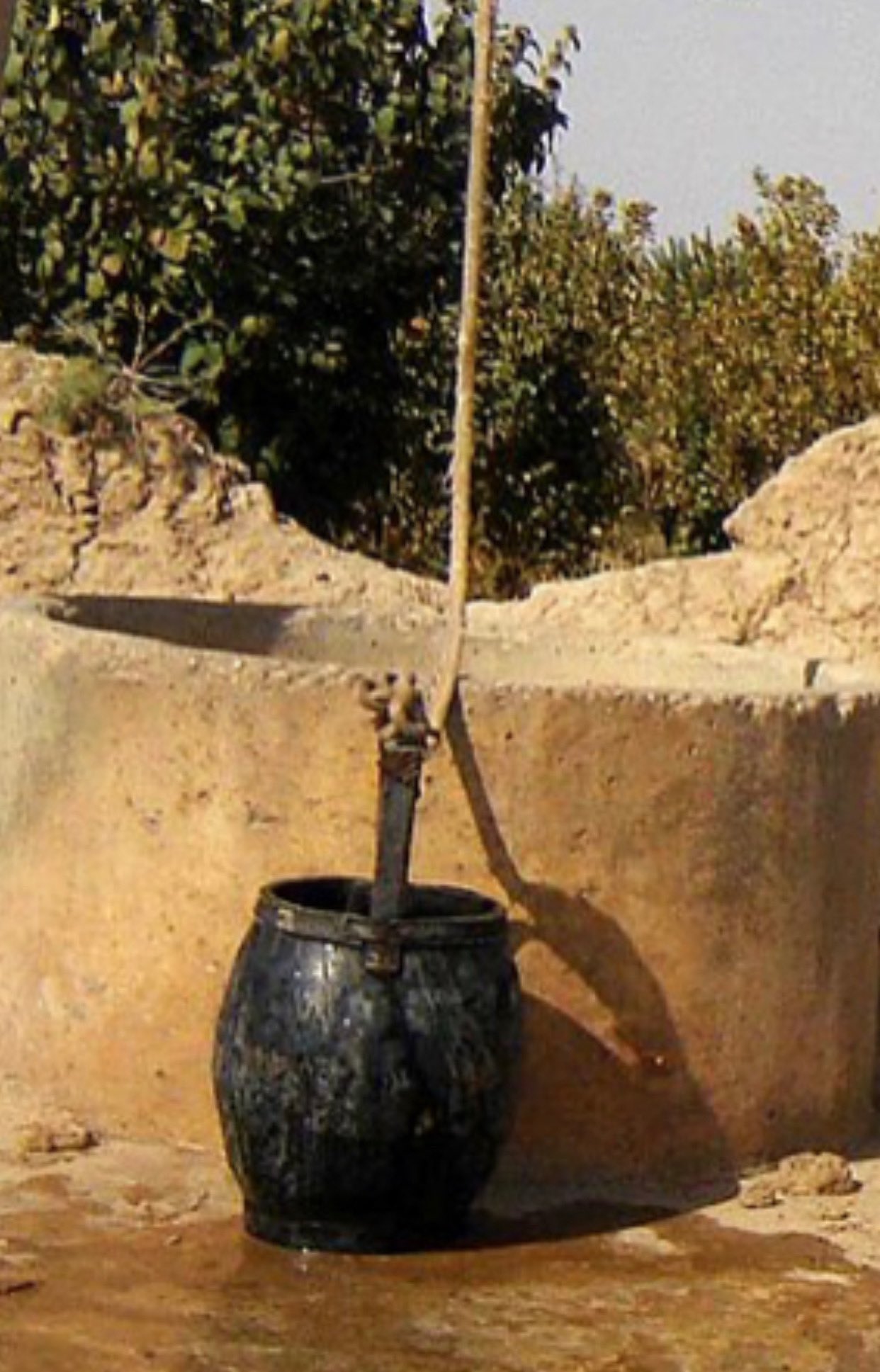 Ereme Please What S The English Name For Doro A K A Ifami T Co 2kxl6tdwoy Twitter Ereme Please What S The English Name For Doro A K A Ifami T Co 2kxl6tdwoy Twitter