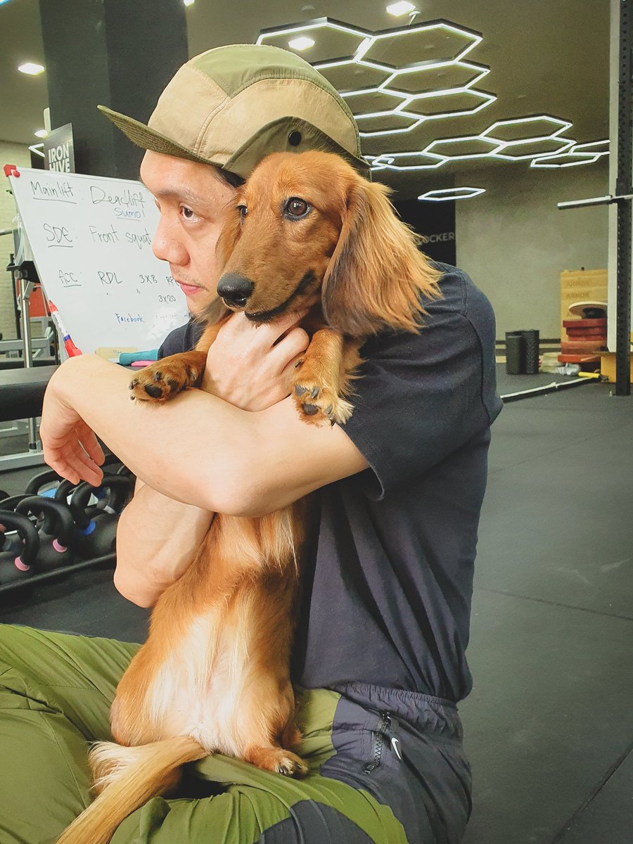 pupptt's tweet photo. น้อนอัลบ้า (สุนัขเค้าแต่เราชอบมาก) https://t.co/q25dHuM5IF