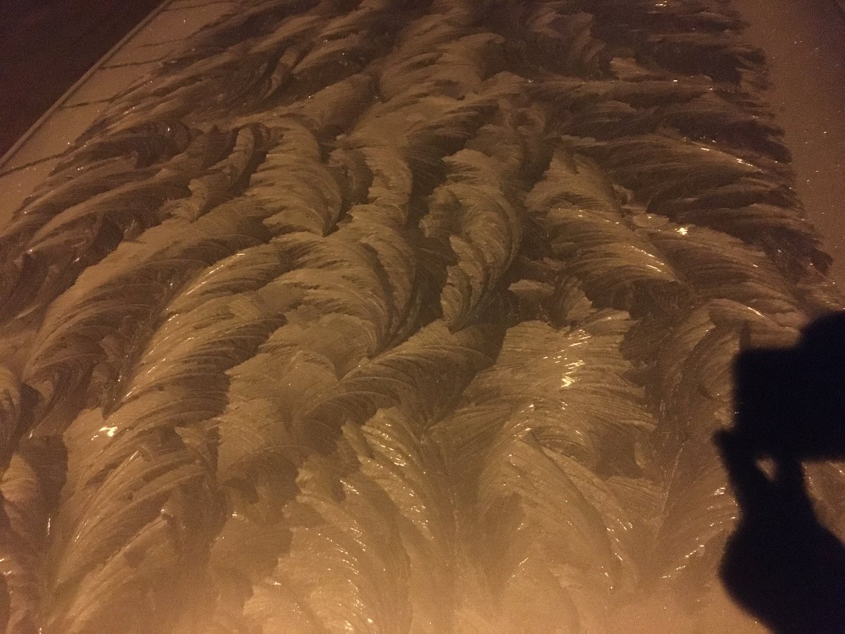 Pintura invernal sobre techo del auto...