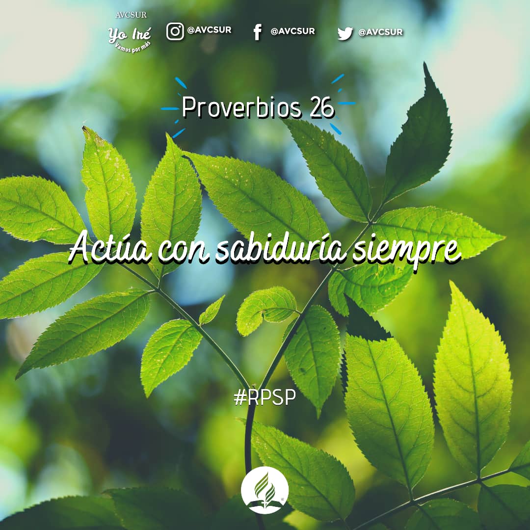 leyander1844's tweet photo. La necedad, la pereza y las palabras del chismoso son tres cosas abominables que conducen al ser humano a la miseria. Lee Proverbios 26 y aprende más sobre este importante tema.
#VamosporMas #rpsp #mibibliadice #felizlunes #avcsur #uvoriental https://t.co/iX0gre7gUh