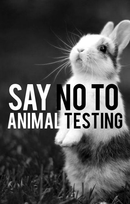 RUvegans's tweet photo. #veganNews #veganpower #veganlslove #ruvegans #plantbased #crueltyfree #veganfriendly #veganworld #newvegan #go #veganfacts #meatfree #veganlife #veganism #vegan #plantbased #govegan #veganlife #happy #veganismo #veganisme #like #love #veganlslove  #veganismi #animal #animals #v https://t.co/wpYOfq0Hb7