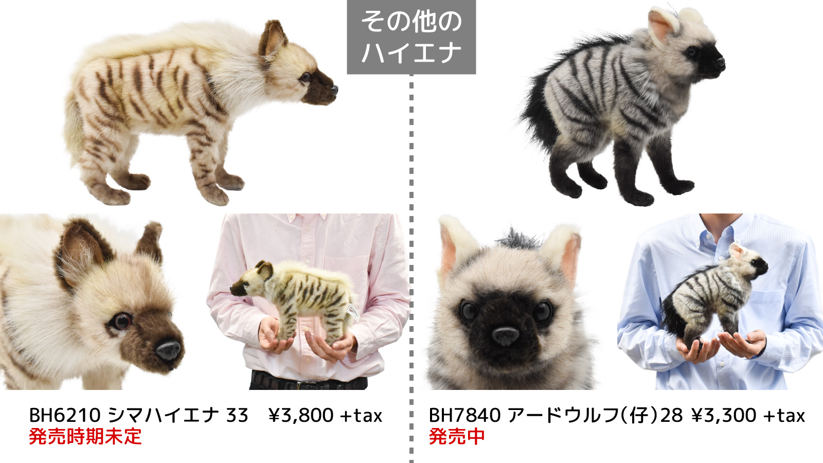 Hansa ハンサ Hansaのリアルなぬいぐるみ 新商品紹介 ブチハイエナ 35 本体価格は6 300円に決定しました 実はとてもファンの多いハイエナ Hansaでは発売中の アードウルフ に加え ブチハイエナ と シマハイエナ が新たに登場予定です Hansa ハンサ Hansaのリアルなぬいぐるみ 新商品紹介 ブチハイエナ 35 本体価格は6 300円に決定しました 実はとてもファンの多いハイエナ Hansaでは発売中の アードウルフ に加え ブチハイエナ と シマハイエナ が新たに登場予定です