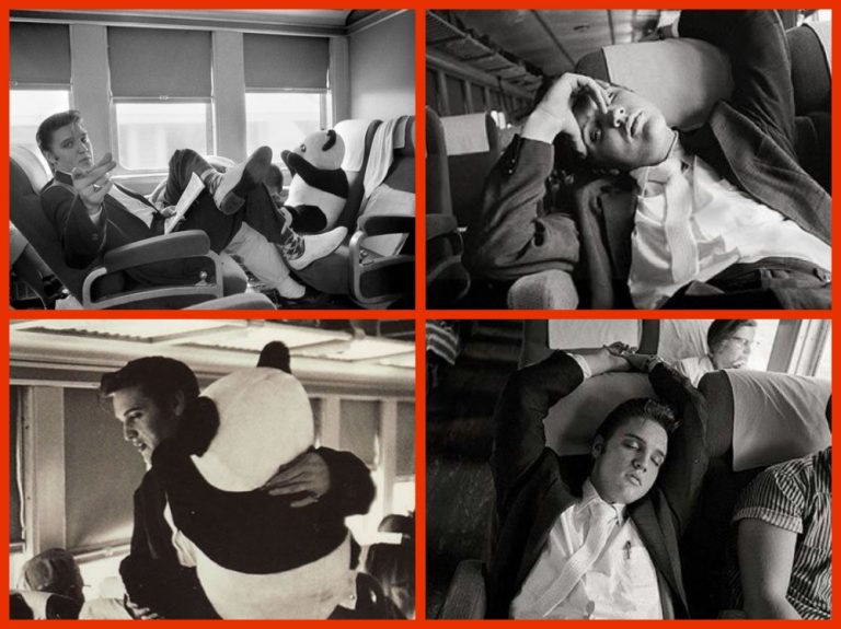 austria63amy's tweet photo. Elvis traveled for a day trip to Memphis. He had a large Panda Bear doll with him and shared it with passengers. He was on his way to becoming a very star.
 @JuanFerrerVila @CPSWorks14560  @Bwdreyer @ElvisFanMemphis @ElvisInArkansas @countrygentlem8 @FromElvisIn333 @LisaPresley https://t.co/BD1zKpP1sU