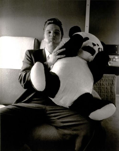 austria63amy's tweet photo. Elvis traveled for a day trip to Memphis. He had a large Panda Bear doll with him and shared it with passengers. He was on his way to becoming a very star.
 @JuanFerrerVila @CPSWorks14560  @Bwdreyer @ElvisFanMemphis @ElvisInArkansas @countrygentlem8 @FromElvisIn333 @LisaPresley https://t.co/BD1zKpP1sU