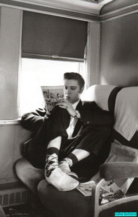 austria63amy's tweet photo. Elvis traveled for a day trip to Memphis. He had a large Panda Bear doll with him and shared it with passengers. He was on his way to becoming a very star.
 @JuanFerrerVila @CPSWorks14560  @Bwdreyer @ElvisFanMemphis @ElvisInArkansas @countrygentlem8 @FromElvisIn333 @LisaPresley https://t.co/BD1zKpP1sU
