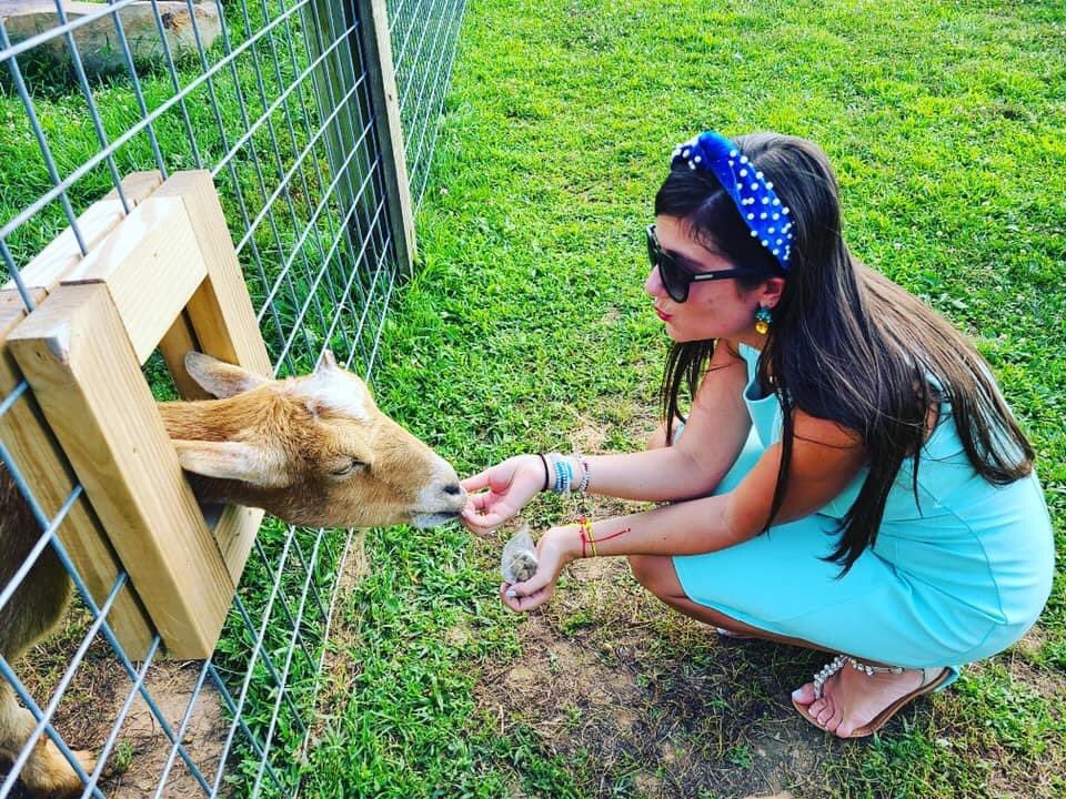 natasham4's tweet photo. Fun Saturfay afternoon yesterday at @ButlersOrchard!! family outing to pick berries, peppers๐ถ, tomatoes ๐
herbs and feed some goats ๐๐#NatInMD #BerryFun https://t.co/g3UOACLhBj
