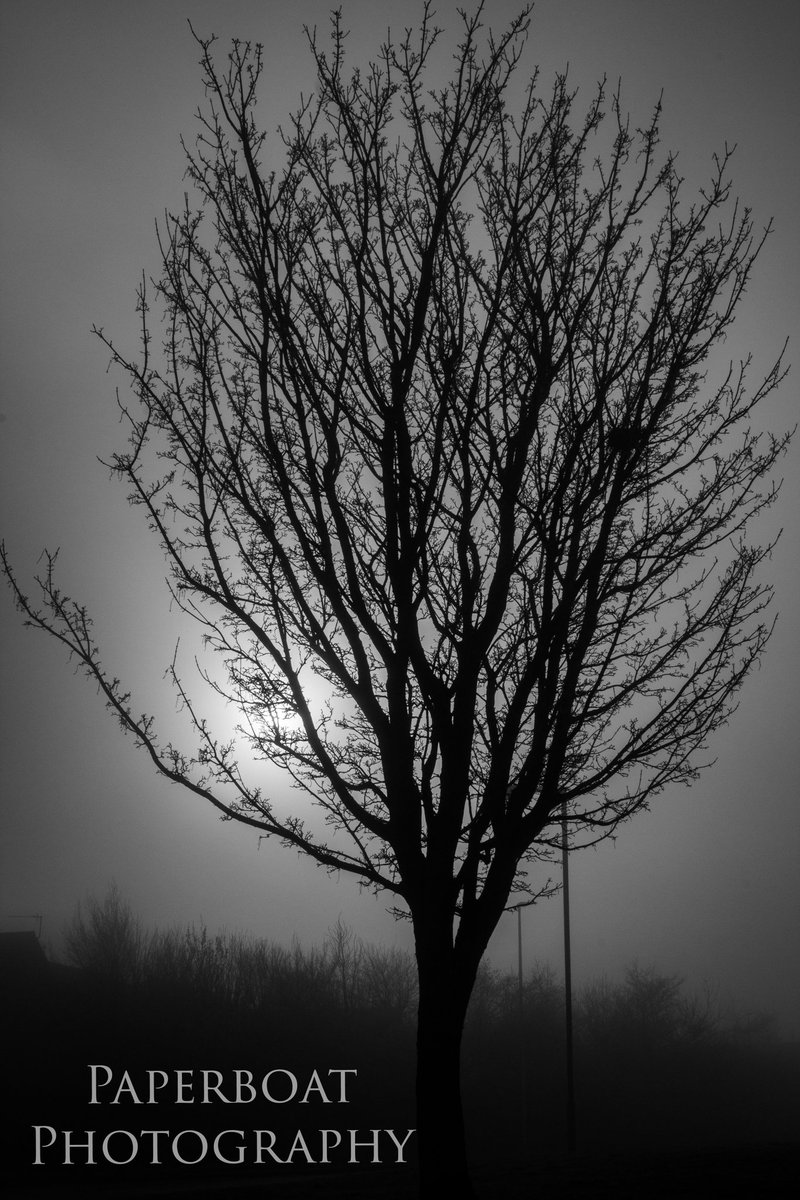 Soph🦈✨ tweet media