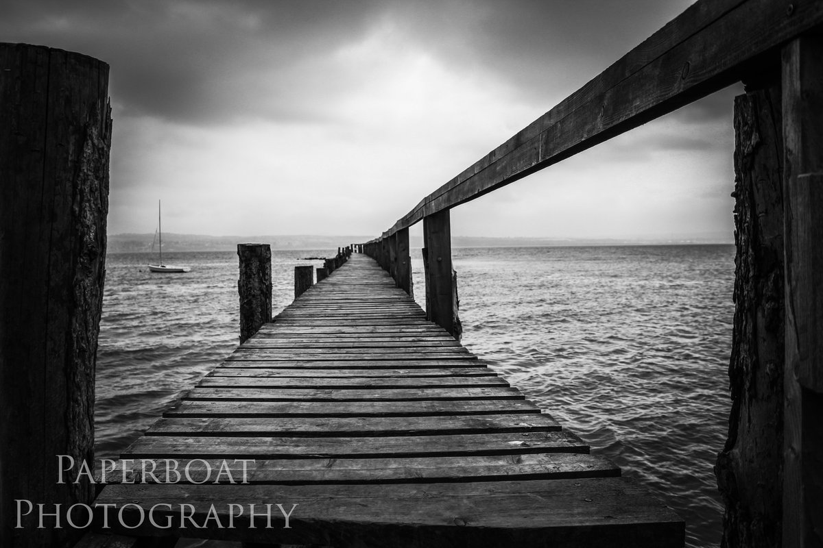 Soph🦈✨ tweet media