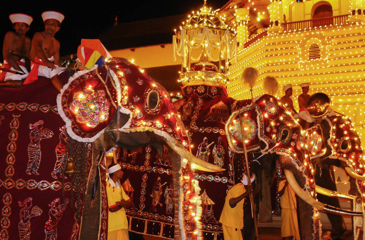 TThalpe's tweet photo. The Kandy Perahera!  One of the #oldest Buddhists #festivals in Sri Lanka started its 10 day long, brightly coloured #celebrations a few days ago.  Although slightly different this year, the #event will still take place to #honor the Sacred Tooth Relic!
https://t.co/XxC4wpPfu6 https://t.co/gVQp5Loe1z