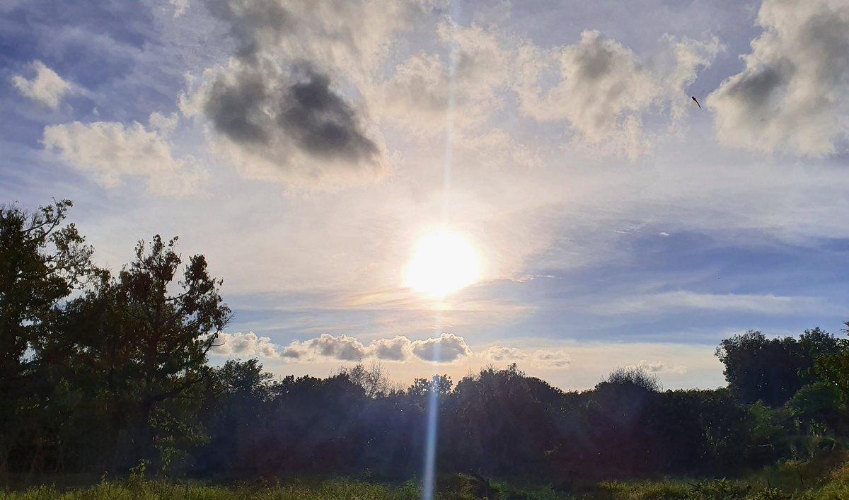 NooYoongNa's tweet photo. ท้องฟ้ากับตะวันยามเย็นที่สวนหลังบ้าน ⛅ @Tawan_V #ttskygallery https://t.co/QqFfE9FGdC
