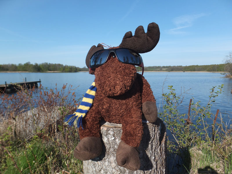 Nature_Travels's tweet photo. Happy Friday! What outdoor adventures do you have planned this weekend? 😎
#FridayFeelng #friyay https://t.co/5kU5j0OFHO