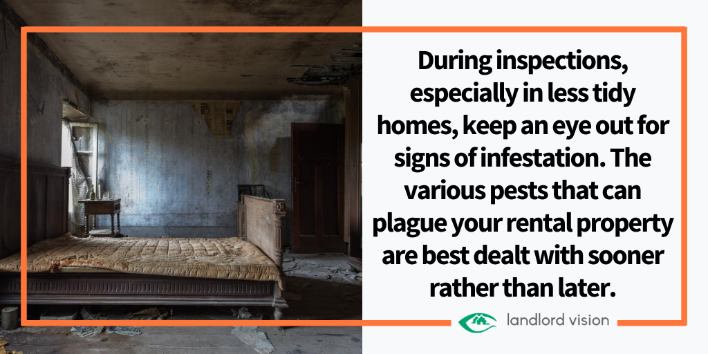 During inspections, especially in less tidy homes, keep an eye out for signs of infestation. The various pests that can plague your rental property are best dealt with sooner rather than later. #toptips #landlords