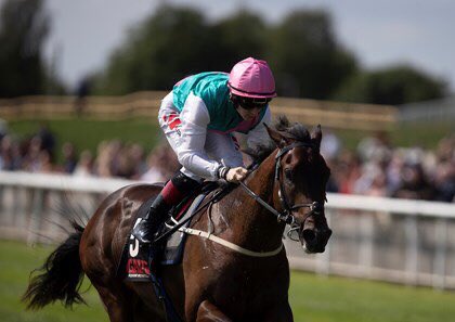 صاحب الخمس انتصارات بدون هزيمه وبطل الألفين جينيز الأيرلندي، المهر «سيسكن» ابن «فيرست ديفنس» لسمو الامير خالد العبدالله يتصدر قائمة الجياد المشاركه بسباق الساسيكس ستيكس جروب1 والذي سيقام الأربعاء القادم 29 يوليو على مضمار قودوود الانجليزي عند الساعه 5:15 عصراً بتوقيت #مكة_المكرمة