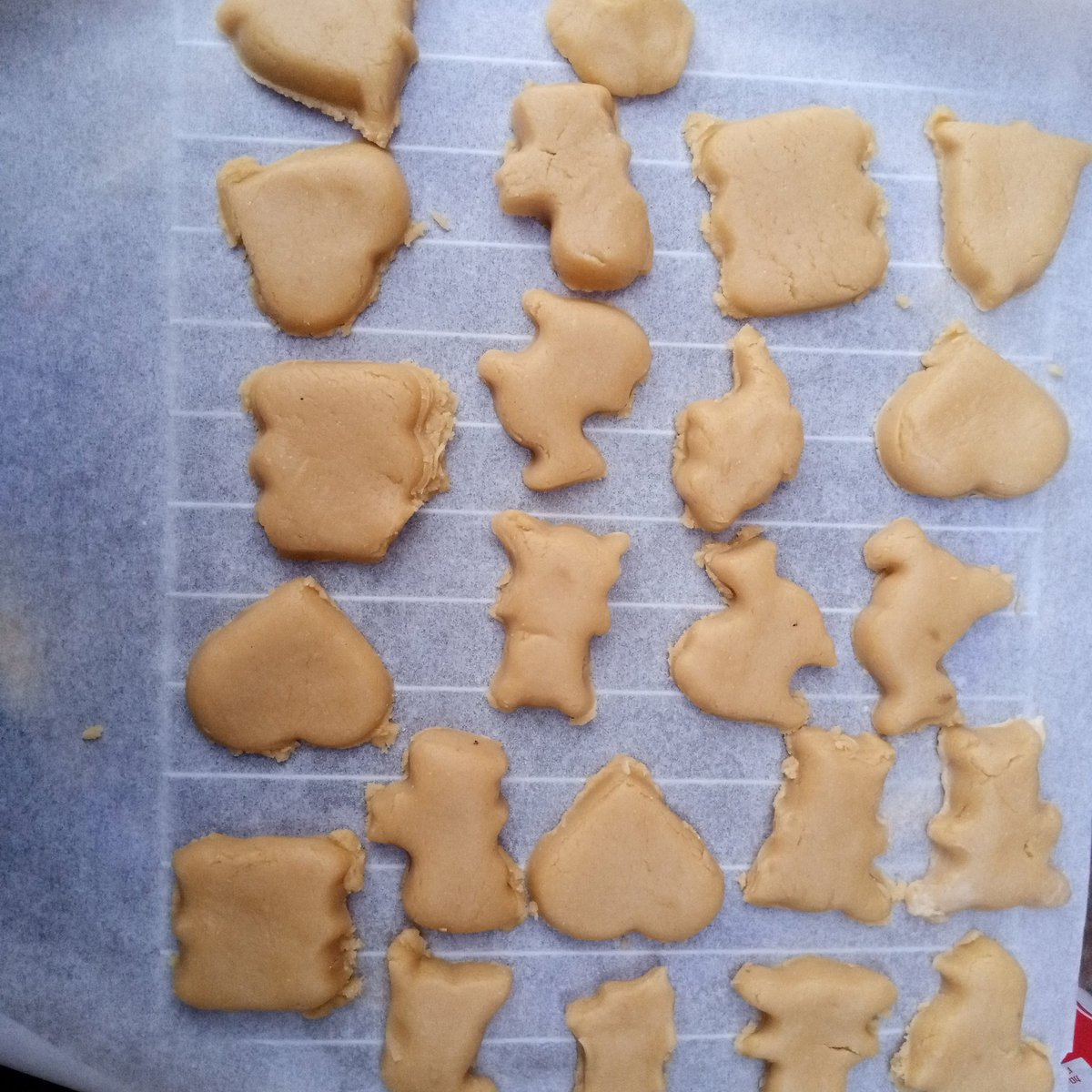 Cookies before baking