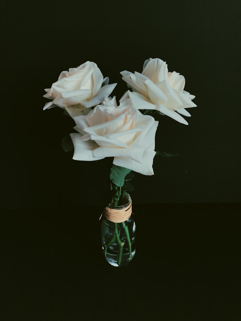Las rosas blancas simbolizan la inocencia, el encanto y la pureza. 

En Hanakotoba, Hablamos con Flores.

#Roses #Flowers #LifestyleFlowers #FlowerLovers #JustBeFloral #FlowerAddict #FloralDesign #FlowerArt #SayItWithFlowers #Hanakotoba #HablamosConFlores