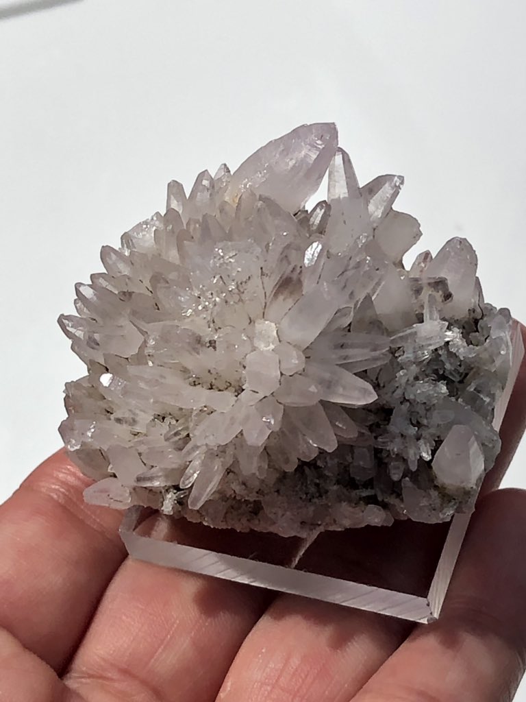 紫〜ず^ ^ 雨塚山、鉛沢、鉛沢浦の谷 万珠鉱山 この辺は高いやつ