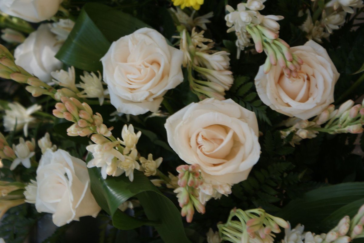 JAEsquina's tweet photo. Que se esfumen tus miedos, 
que te lluevan  rosas blancas
y que se cumplan tus sueños... https://t.co/BywUgMGQIC