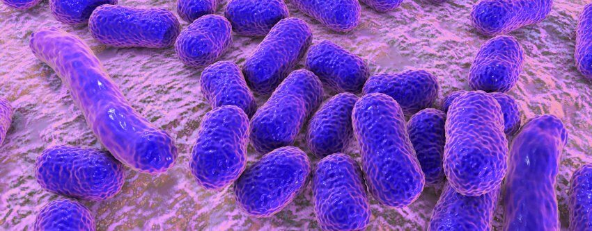 VenatorxPharma tweet picture