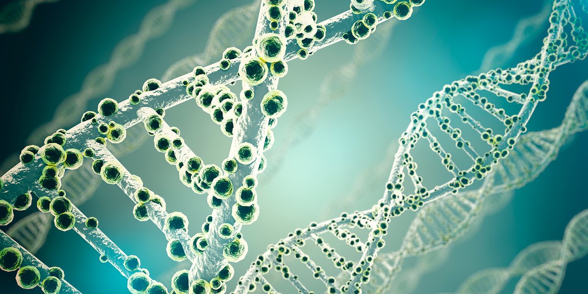 SSI_dk's tweet photo. Ny genetisk kortlægning af COVID-19 virus er med til at afklare flere udbrud hurtigere. SSI, AAU og og landets mikrobiologiske afd. har lavet en genetisk kortlægning af virus i alle COVID-19 positive tilfælde i Danmark. https://t.co/fWVRn9UmAC #covid19dk #Sundhed #dkmedier #ssi https://t.co/6x2ZDHVhY4