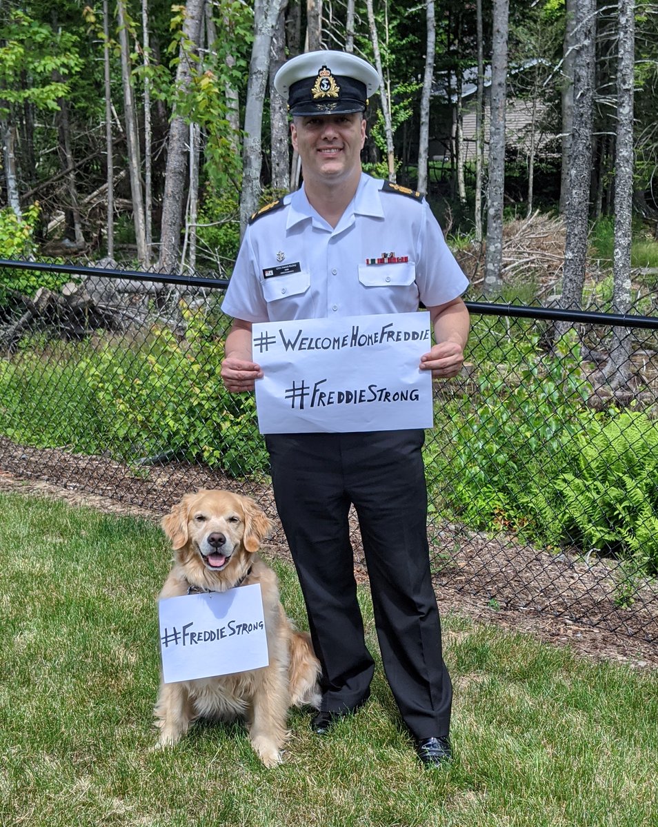 Royal Canadian Navy tweet media