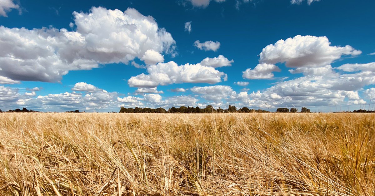 Philip Rothwell (@PhilipRothwell2) | Twitter