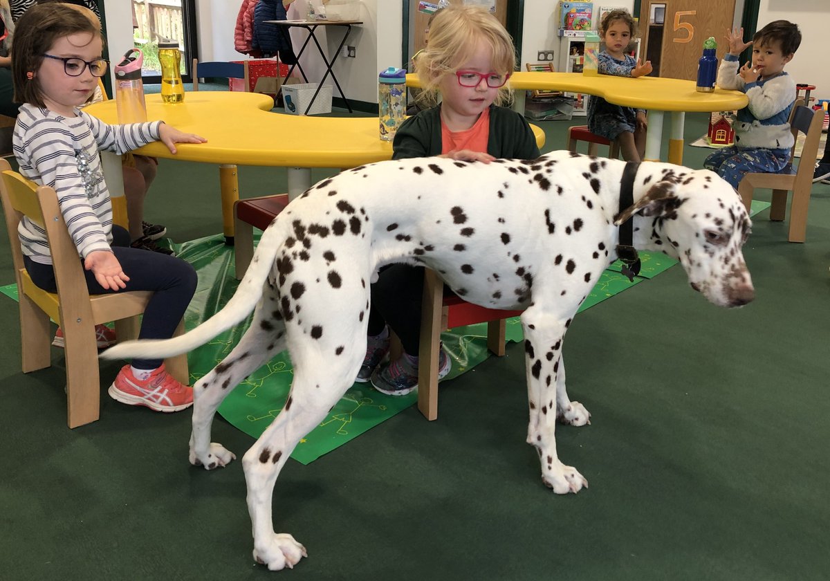 DitchamJuniors's tweet photo. Dragonflies had a four-legged visitor this morning - Mrs Parrott’s Dalmatian called Freddie. He enjoyed all the attention! Please follow us @DitchamPark
#NoOrdinaryNursery #Awe #Wonderment #16acres #EYEfunding #15HoursFree #Open42Weeks #NurturingInquisitiveMinds https://t.co/cBVTdkRMuU
