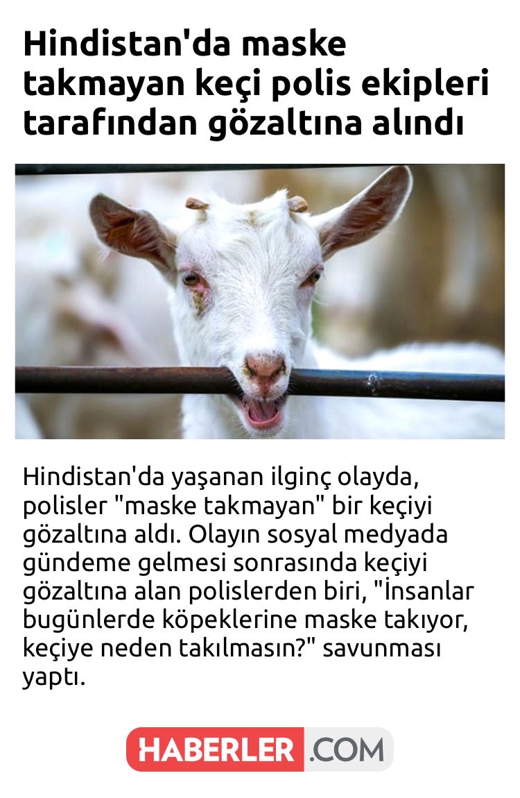 merdoemir's tweet photo. Tebrik ediyorum , gereken yapılsın ... https://t.co/7o59rZICNI