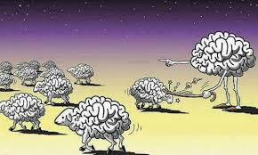 عدد من الأدمغة على شكل خراف يقوده